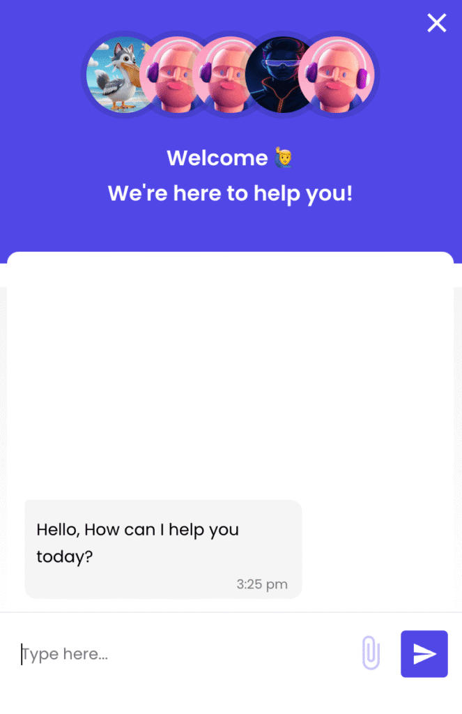 Screenshot from the Patoko website costumer service
